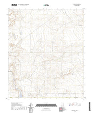 US Topo 7.5-minute map for Ross Ranch NMTX