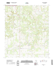 US Topo 7.5-minute map for Cisco South TX