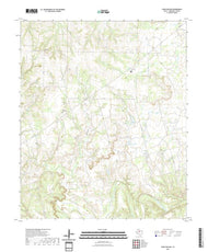 US Topo 7.5-minute map for Coon Hollow TX