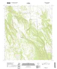 US Topo 7.5-minute map for Dagger Flat TX