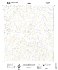 US Topo 7.5-minute map for El Sauz TX