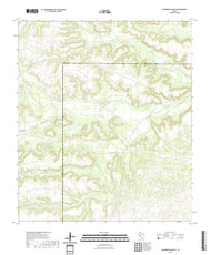 US Topo 7.5-minute map for Hackberry Draw SE TX