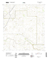 US Topo 7.5-minute map for Hebbronville SE TX