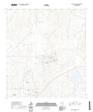US Topo 7.5-minute map for Piedra Parada Tank TX