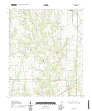 US Topo 7.5-minute map for Pilot Grove TX
