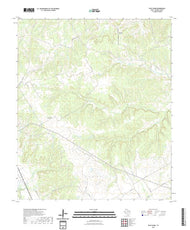 US Topo 7.5-minute map for Pilot Knob TX