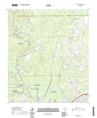 US Topo 7.5-minute map for Pine Forest TX