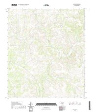 US Topo 7.5-minute map for Ray Lake TX