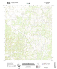 US Topo 7.5-minute map for Ray Lake NW TX