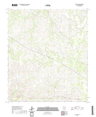US Topo 7.5-minute map for Ray Lake SE TX