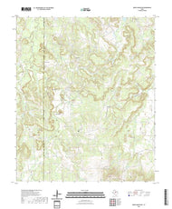 US Topo 7.5-minute map for Reddy Mountain TX