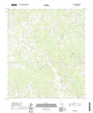 US Topo 7.5-minute map for Roundhead TX