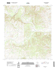 US Topo 7.5-minute map for Salmon Peak TX