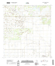 US Topo 7.5-minute map for San Perlita North TX