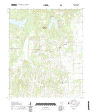 US Topo 7.5-minute map for Selfs TX