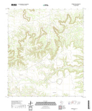 US Topo 7.5-minute map for Sherbino Mesa TX