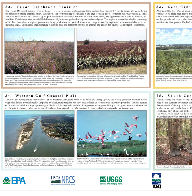 Ecoregions of Texas Poster