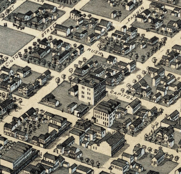 Houston 1873 by Augustus Koch