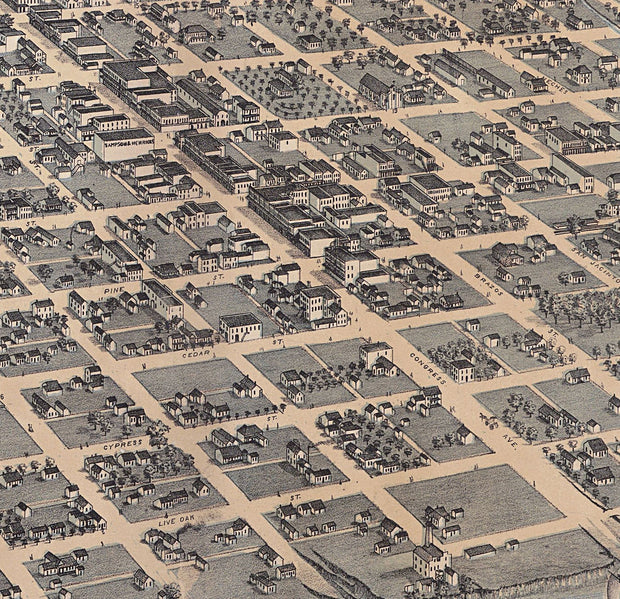 Austin 1873 by Augustus Koch