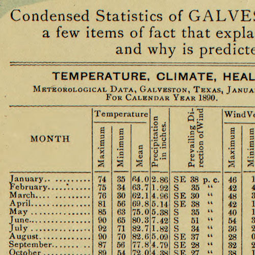 Galveston County and City 1891