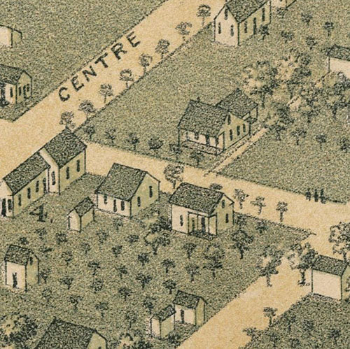 Cuero 1881 by Augustus Koch