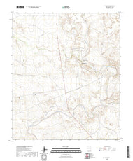 US Topo 7.5-minute map for Red Bluff NMTX