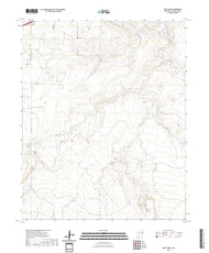 US Topo 7.5-minute map for Riley Camp NM