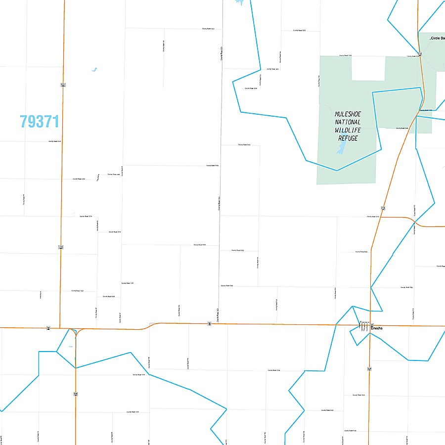 Bailey County, TX Premium Style Wall Map