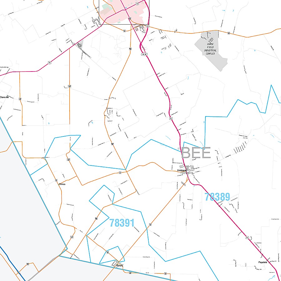Bee County, TX Premium Style Wall Map