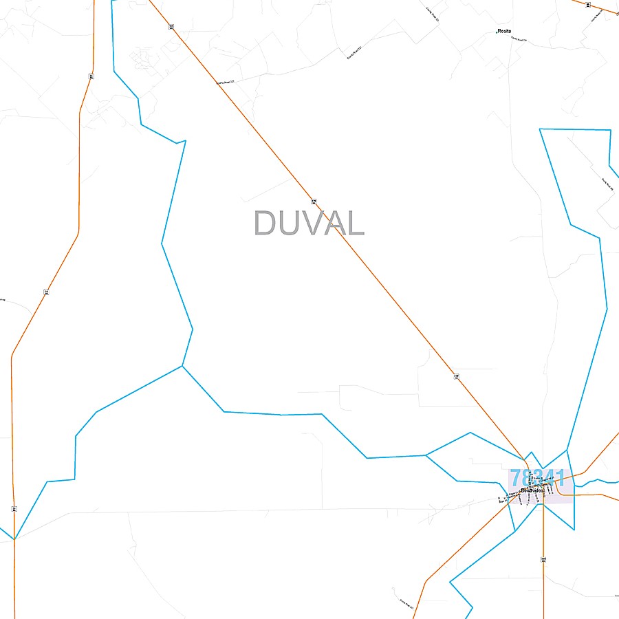 Duval County, TX Premium Style Wall Map