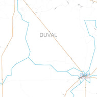 Duval County, TX Premium Style Wall Map