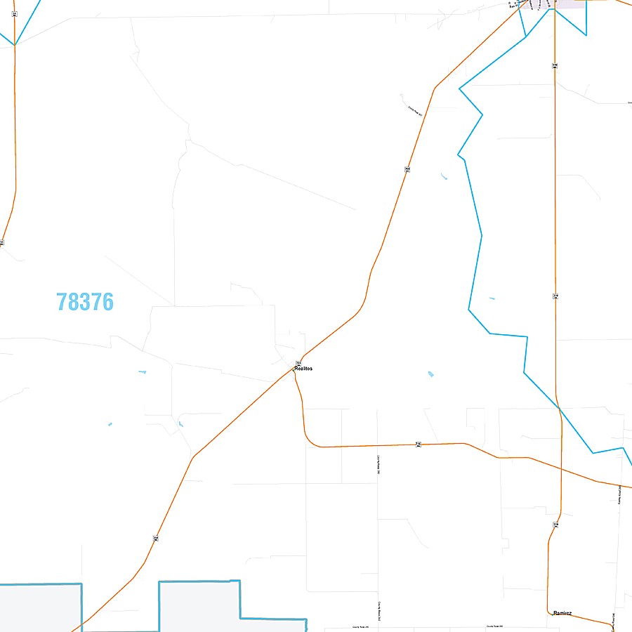 Duval County, TX Premium Style Wall Map