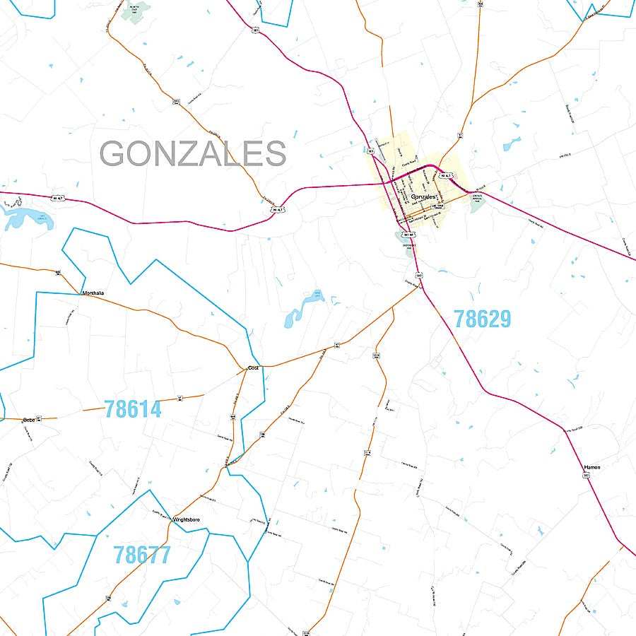 Gonzales County, TX Premium Style Wall Map