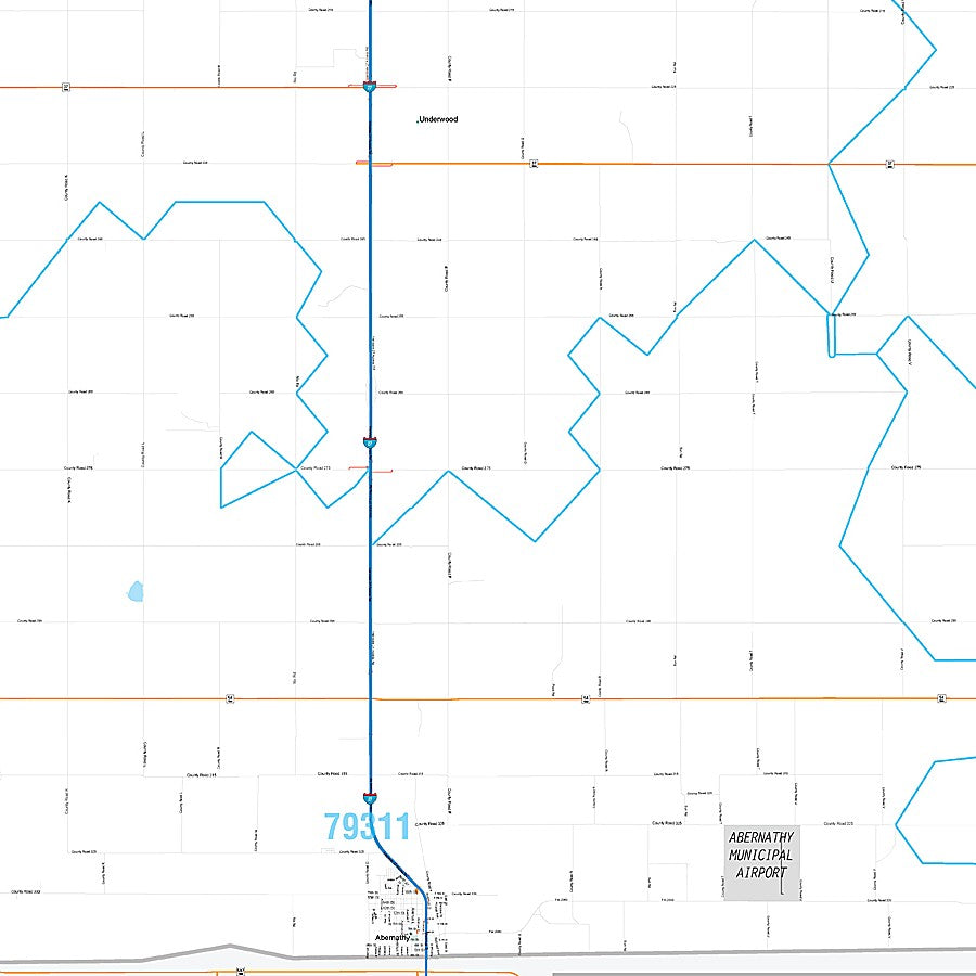 Hale County, TX Premium Style Wall Map