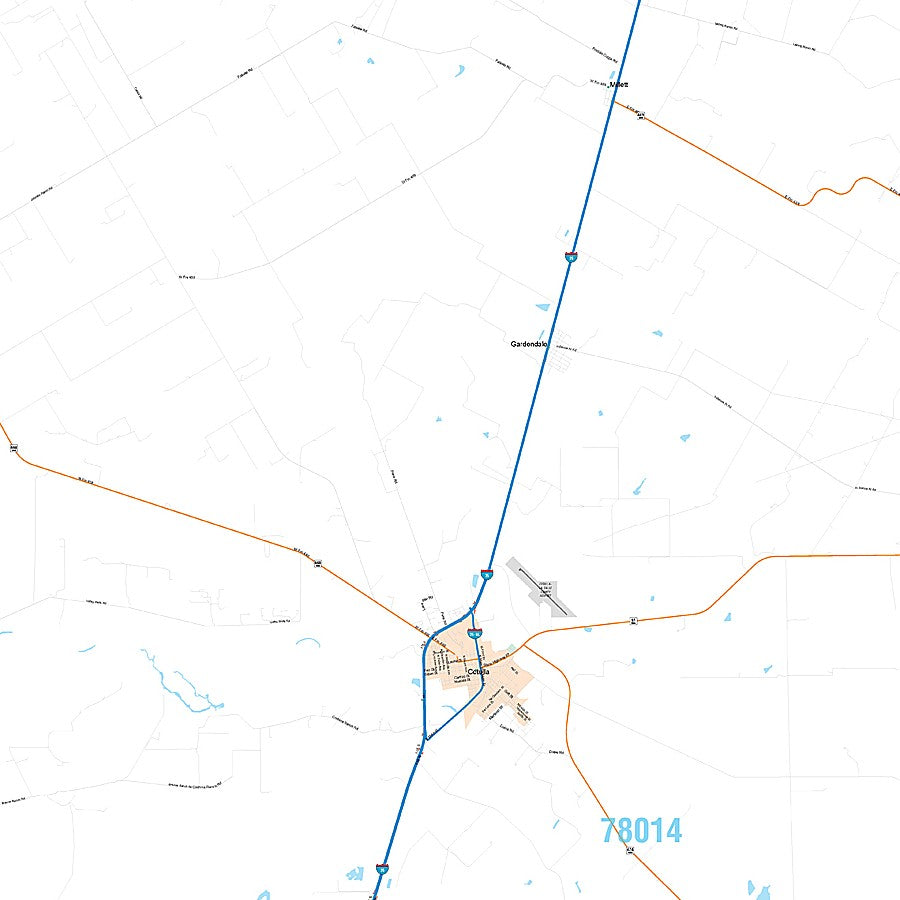 La Salle County, TX Premium Style Wall Map