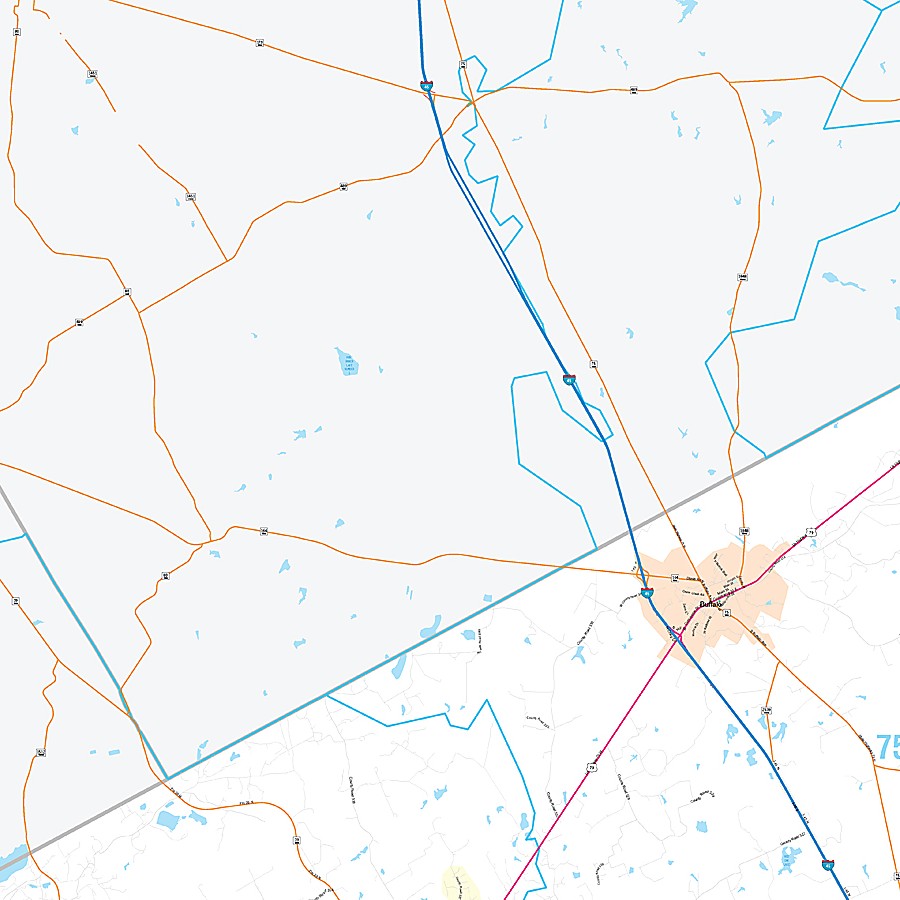 Leon County, TX Premium Style Wall Map