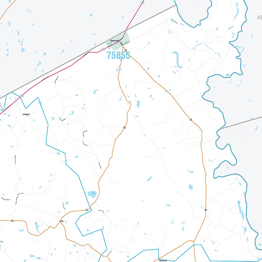 Leon County, TX Premium Style Wall Map
