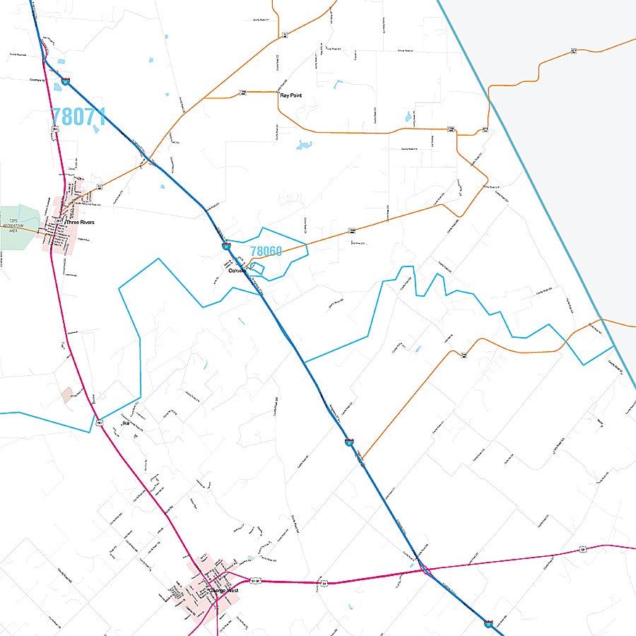 Live Oak County, TX Premium Style Wall Map