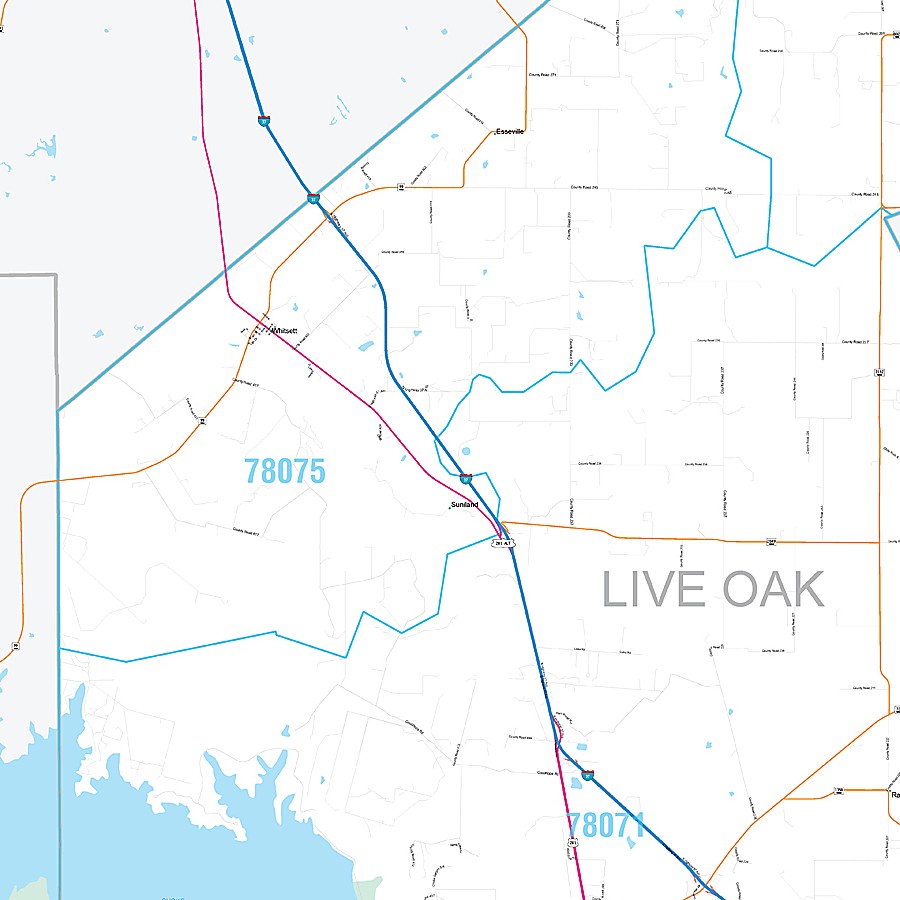 Live Oak County, TX Premium Style Wall Map