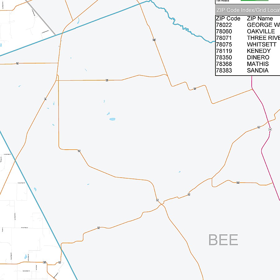 Live Oak County, TX Premium Style Wall Map
