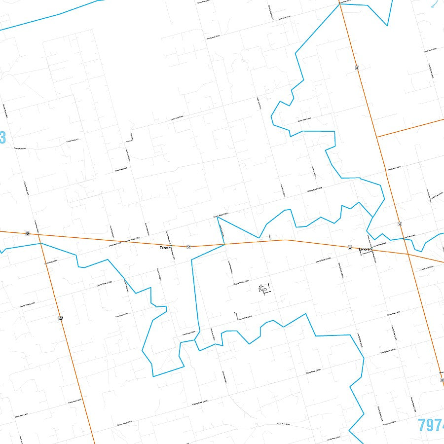 Martin County, TX Premium Style Wall Map