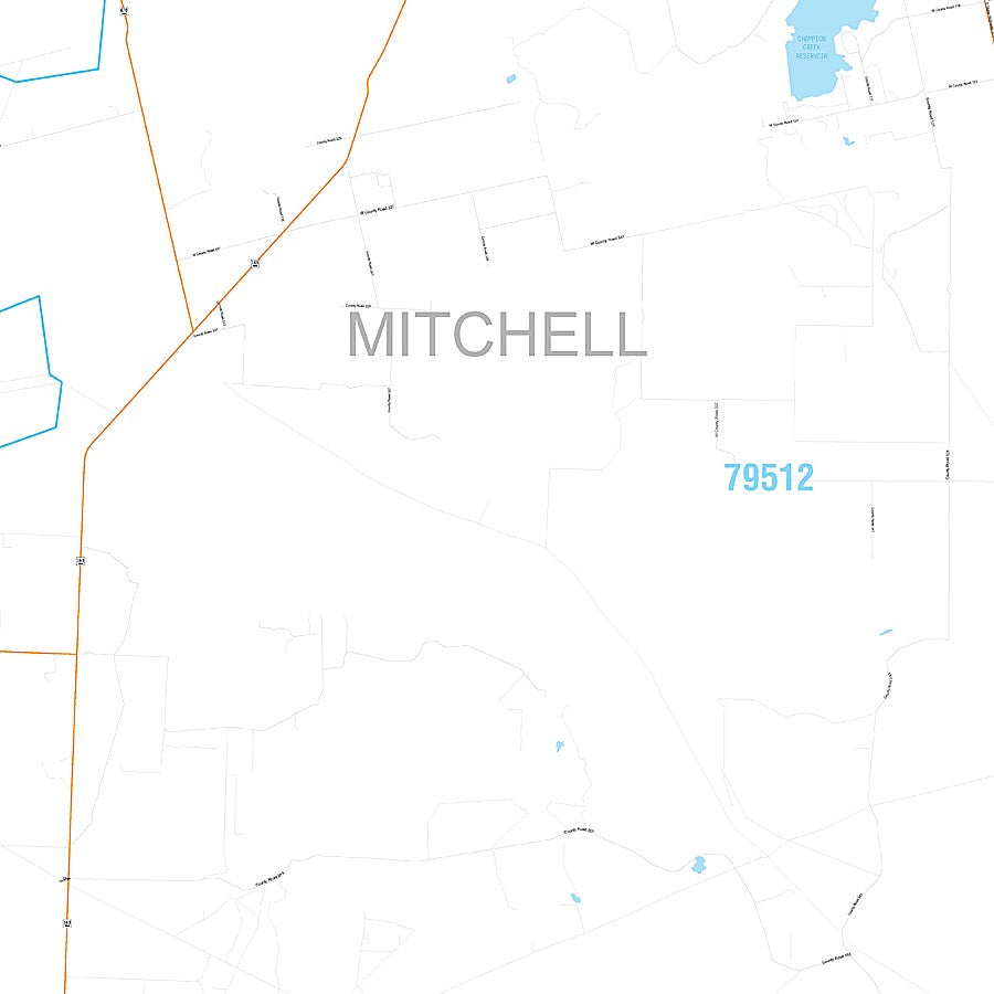 Mitchell County, TX Premium Style Wall Map