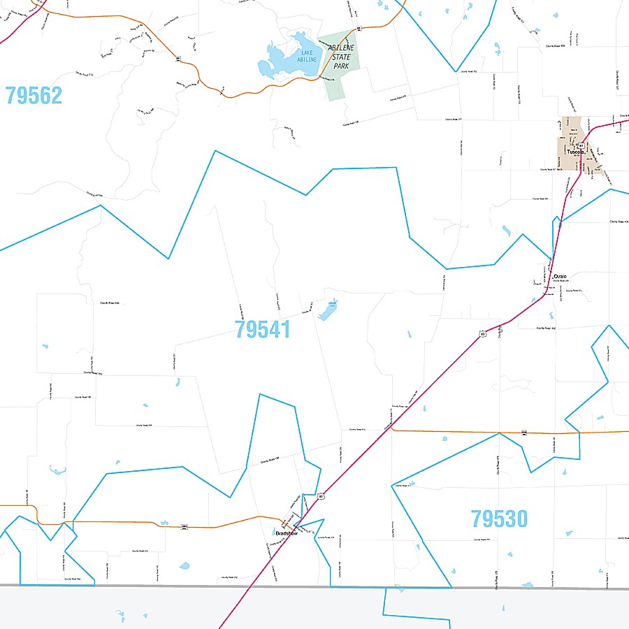 Taylor County, TX Premium Style Wall Map