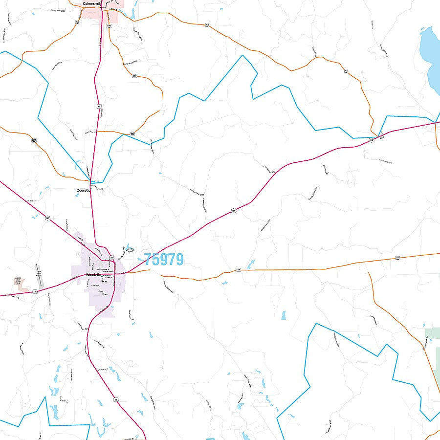 Tyler County, TX Premium Style Wall Map