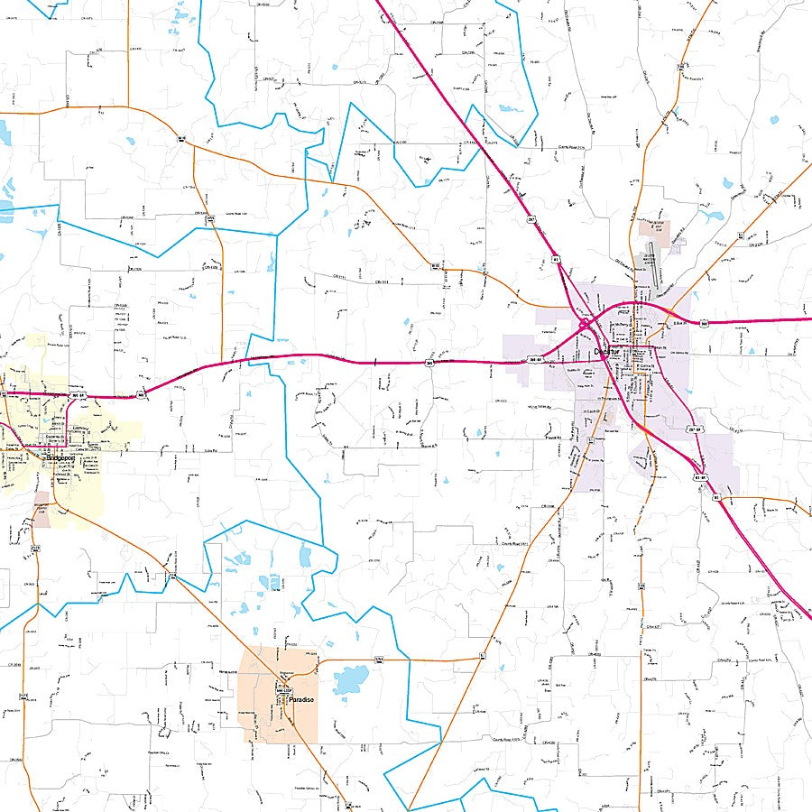 Wise County, TX Premium Style Wall Map