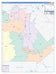 Atascosa County, TX Colorcast Style Wall Map