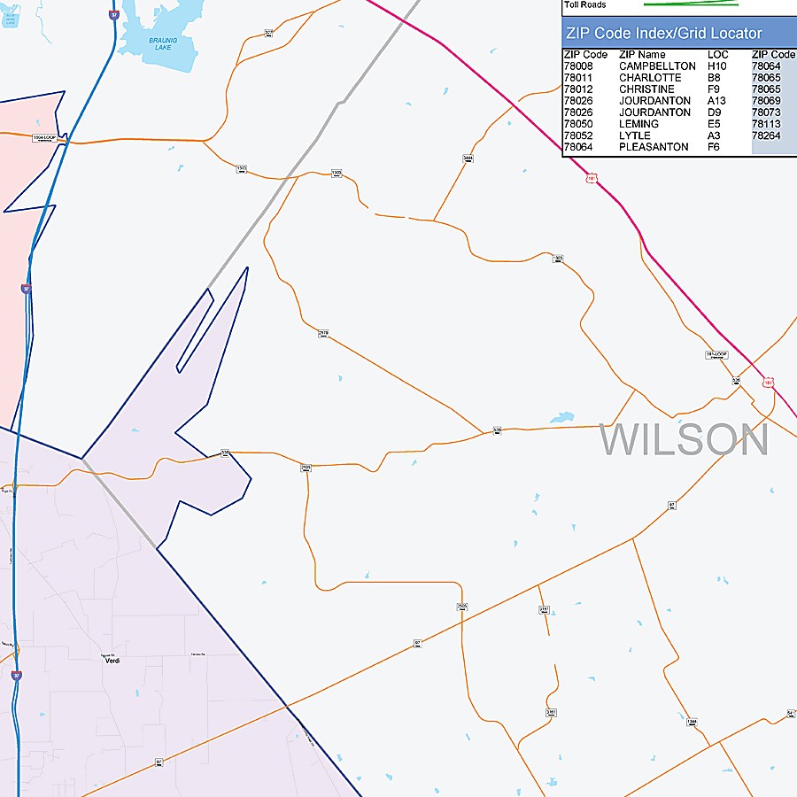 Atascosa County, TX Colorcast Style Wall Map