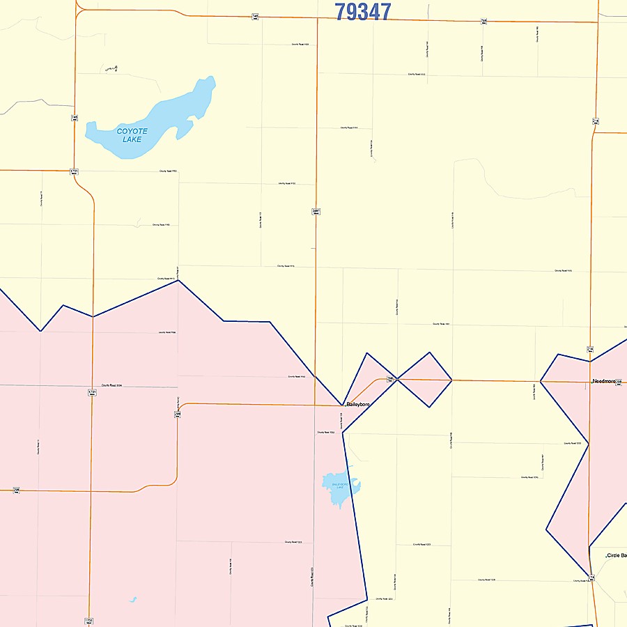 Bailey County, TX Colorcast Style Wall Map