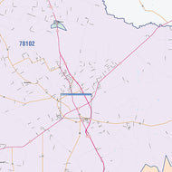 Bee County, TX Colorcast Style Wall Map