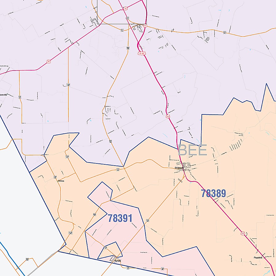 Bee County, TX Colorcast Style Wall Map